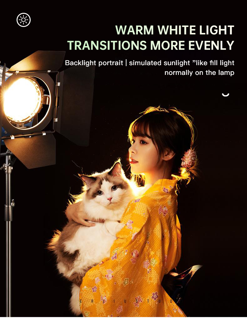 Beiyang 2000W projecteur cheve - Photography Lighting For Indoor avis et prix