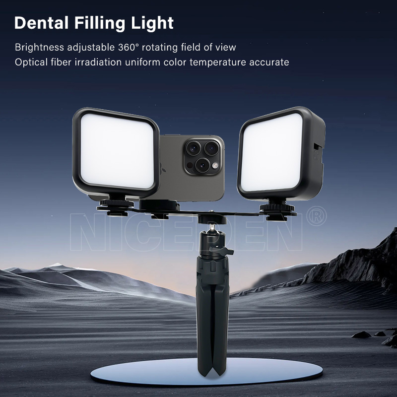 Niceden Lampe Flash Portable D - Photography Lighting With Flash avis et prix